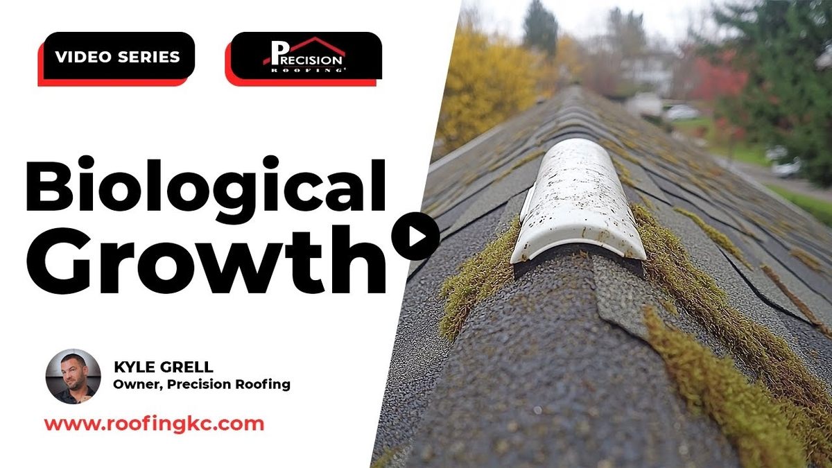 biological growth on roofs