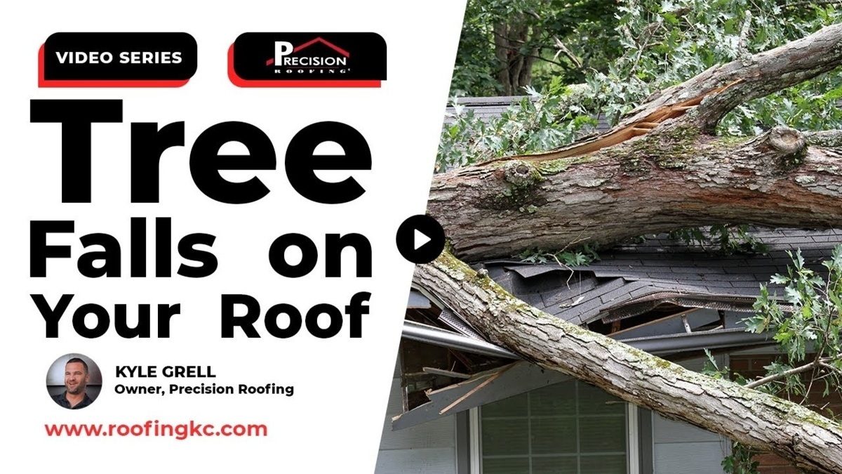 tree falls on your roof